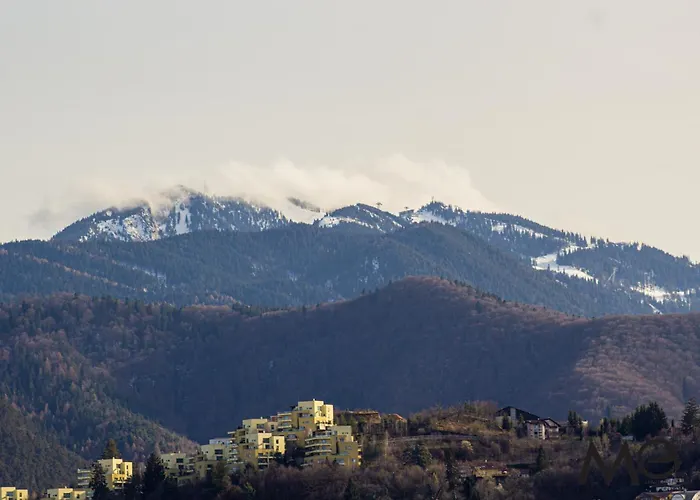 Mohost View - Mountain Escape In Brasov