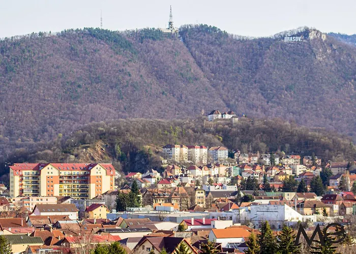 Mohost View - Mountain Escape In Brasov