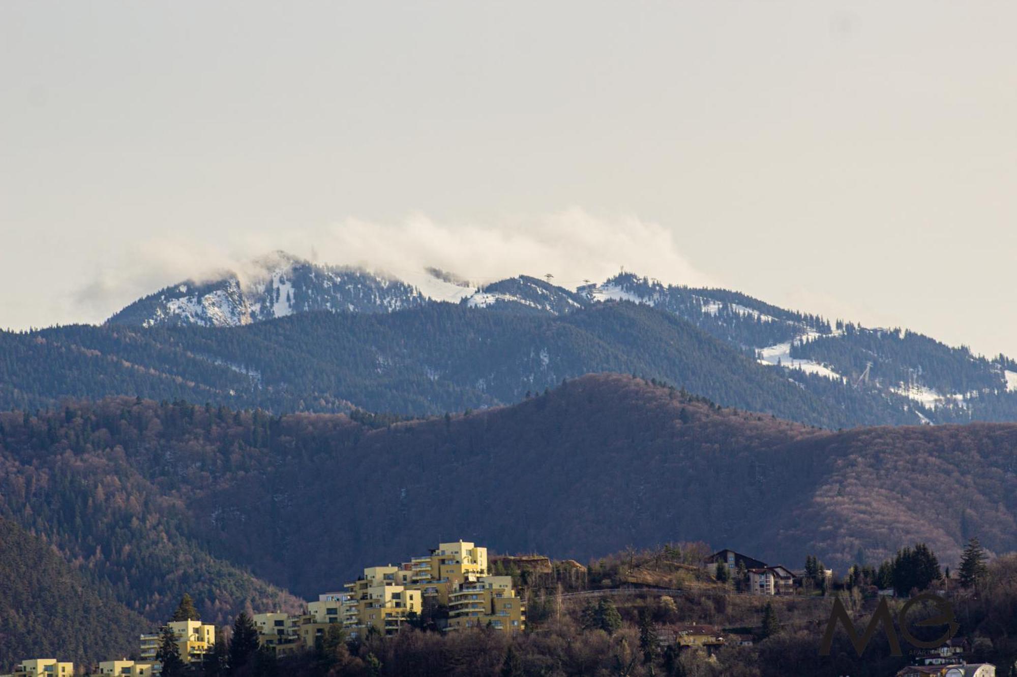 Mohost View - Mountain Escape In